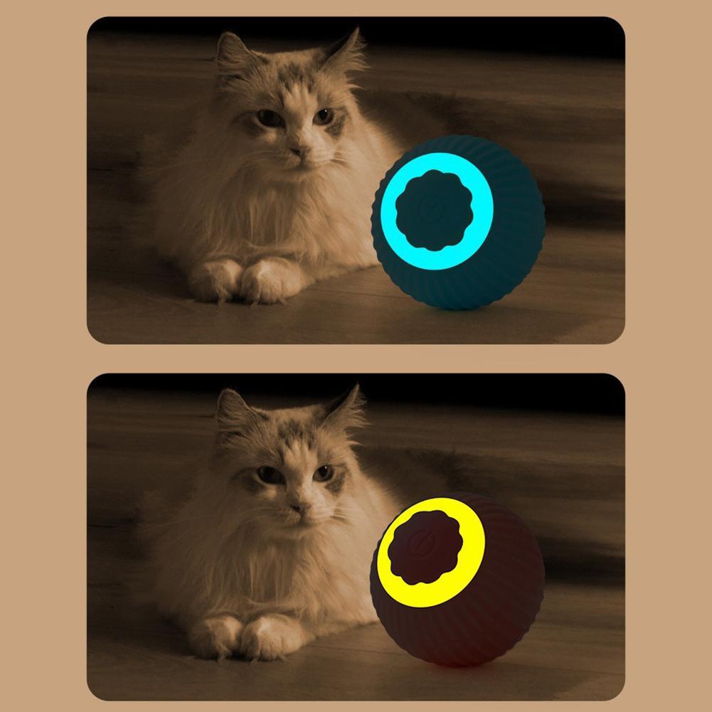 電動猫ボールおもちゃ 自動回転スマート猫おもちゃ 猫のトレー - Power Tools Cat のレビューと価格