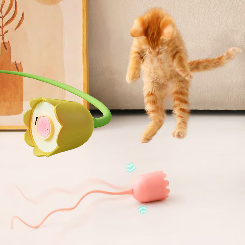 インタラクティブ猫用おもちゃ USB電動インテリジェント回転 - Power Tools Cat のレビューと価格