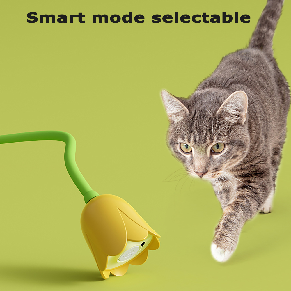 インタラクティブ猫用おもちゃ USB電動インテリジェント回転 - Power Tools Cat のレビューと価格